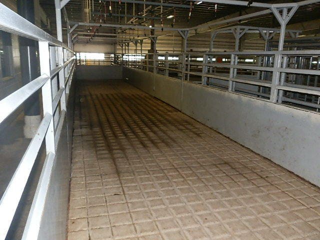 Curved cattle handling pens with new railing