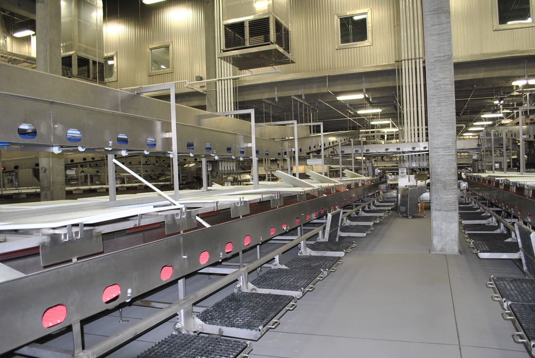 Further processing line inside a plant